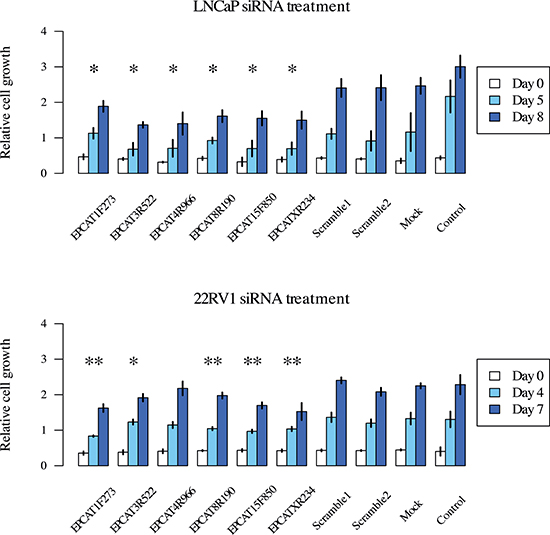 Cell viability measured by MTT assay after treatment of LNCaP and 22RV1 cells.