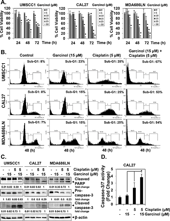 Garcinol suppresses the viability and potentiates the apoptotic effect of cisplatin in HNSCC cells in vitro.