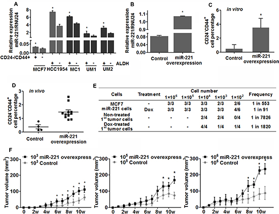 Expression of miR-221 and its role in regulating breast cancer stem-like cells.