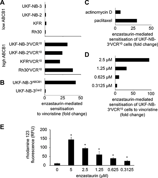 Influence of enzastaurin on drug sensitivity in ABCB1-expressing cells.