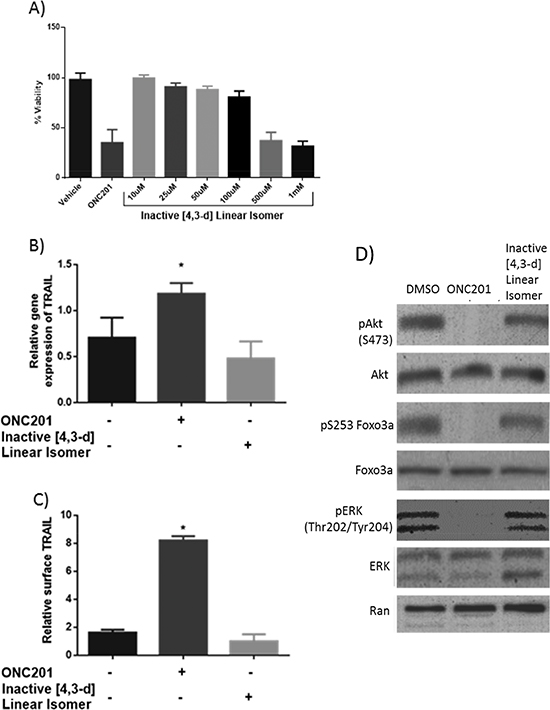 ONC201 induces TRAIL and decreases human colon cancer cell viability at a significantly lower concentration than the linear isomer.