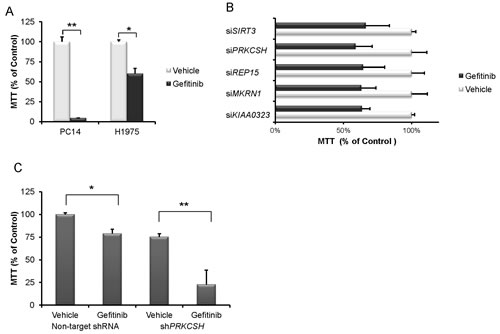 Fig.1: PRKCSH knockdown cells have increased sensitivity to gefitinib.