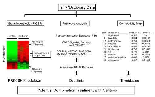 Fig.2: Three different approaches to identify a pathway or drug that can overcome gefitinib resistance of NSCLC.