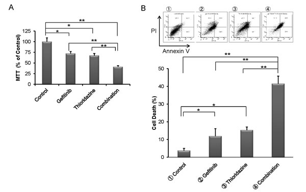 Fig.4: Effect of the combination of thioridazine and gefitinib on TKI-resistant NSCLC cells.