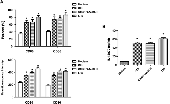 Costimulatory molecule expression and IL-12 production by murine bone marrow-derived DCs.