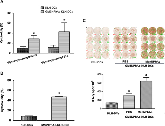 GM3NPhAc-KLH-DCs induce CTL responses.