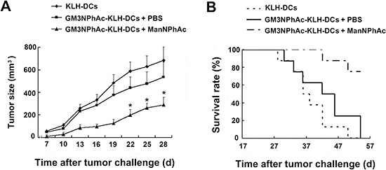 Evaluation of a novel immunotherapy to treat FBL3 cancer.