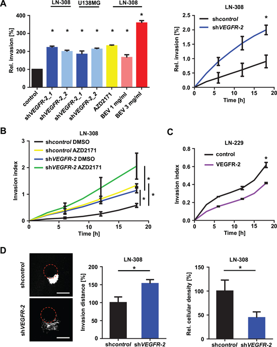 Blockade of VEGF/VEGFR-2 signaling stimulates glioma cell invasion.
