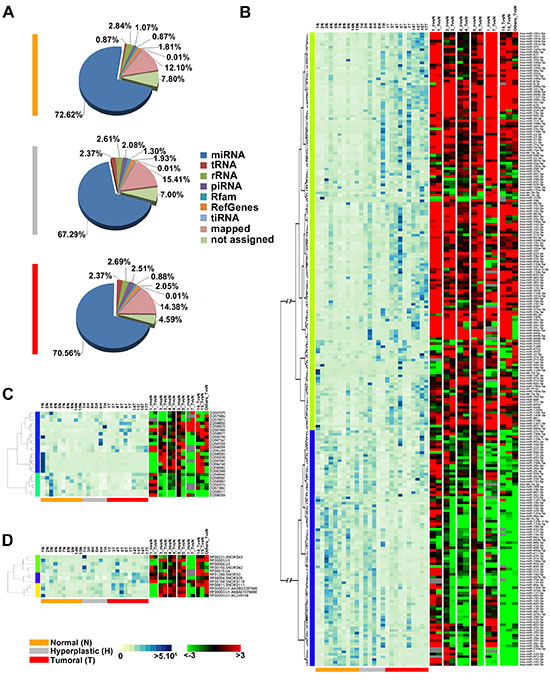 Changes in sncRNAs expression during endometrial carcinogenesis.