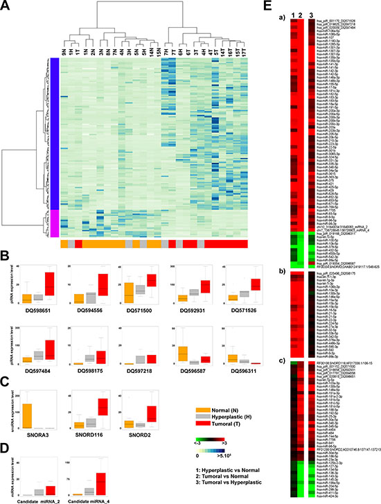 Identification of sncRNAs signature discriminating between normal and tumor samples.