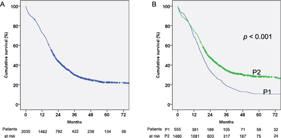 Cumulative survival of all the hepatocellular carcinoma (HCC) patients and in the two considered periods 2002&#x2013;2006 (P1) and 2007&#x2013;2011 (P2).