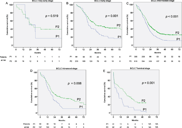 Cumulative survival of the hepatocellular carcinoma (HCC) patients by Barcelona clinic liver cancer (BCLC) staging classification in the two considered periods 2002&#x2013;2006 (P1) and 2007&#x2013;2011 (P2).