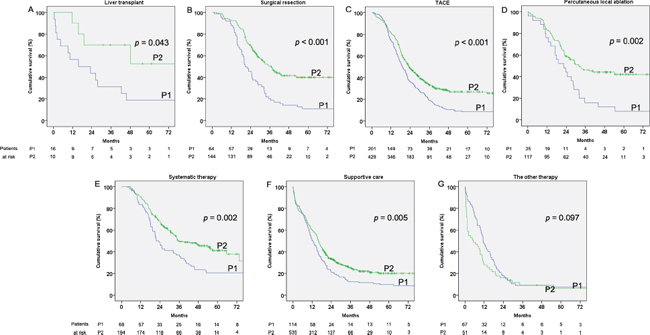Cumulative survival of the hepatocellular carcinoma (HCC) patients by treatment in the two considered periods 2002&#x2013;2006 (P1) and 2007&#x2013;2011 (P2).