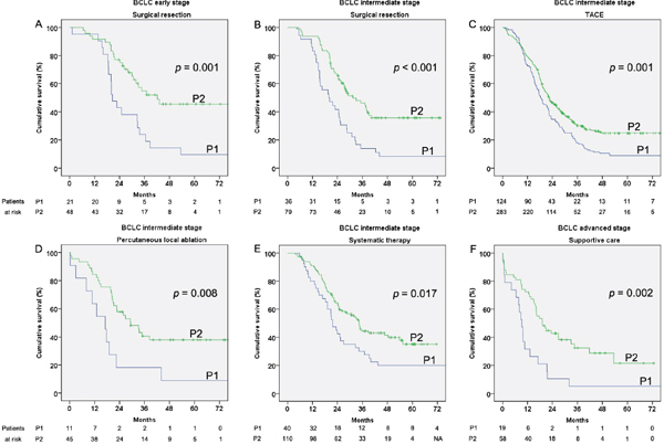 Cumulative survival of patients by treatments which showed increased survival according Barcelona clinic liver cancer (BCLC) staging classification stages in the two considered periods 2002&#x2013;2006 (P1) and 2007&#x2013;2011 (P2).