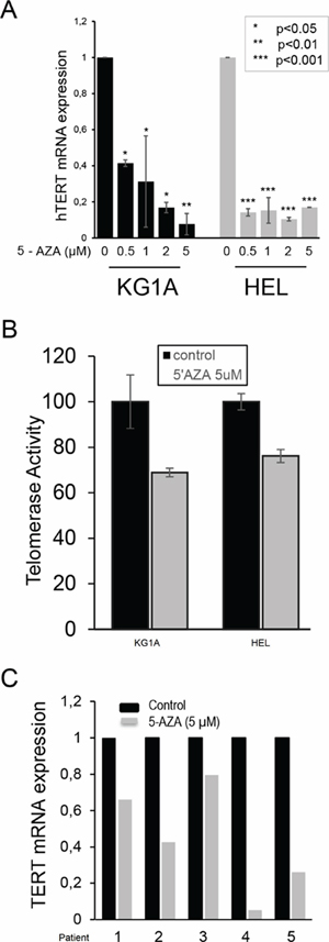 Down-regulation of TERT mRNA expression and telomerase activity in 5-AZA-treated AML cells.