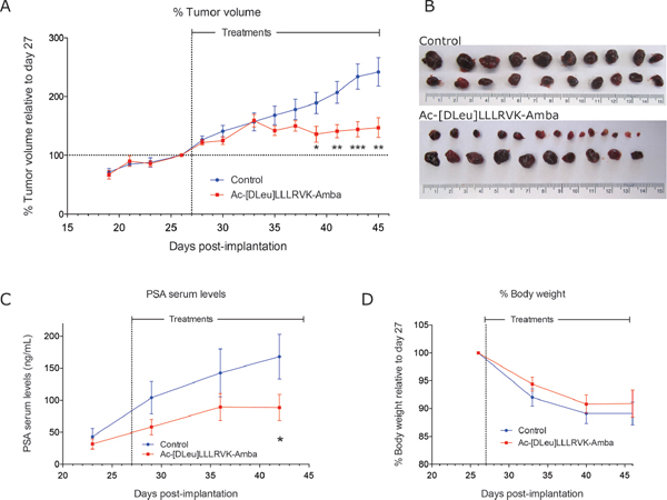 Systemic administration of the peptide Ac-[DLeu]LLLRVK-Amba in vivo.