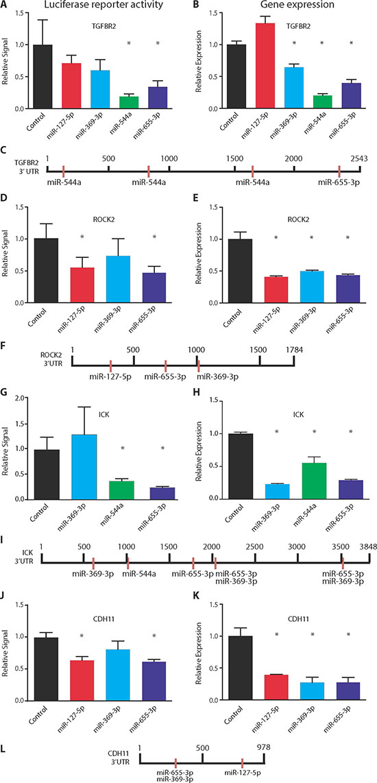 Co-repression of target genes by 14q32-encoded miRNAs.