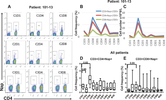Flow cytometric and overall plots showing the percentage of Nap-specific CD4+ and CD8+ (CD3+CD4&#x2212;) T cells in PBMCs of patients pre- and several time points after start of Nap treatment.