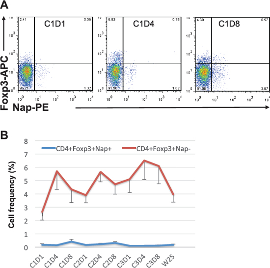 Foxp3 expression within CD4+Nap+/&#x2212; T cells.
