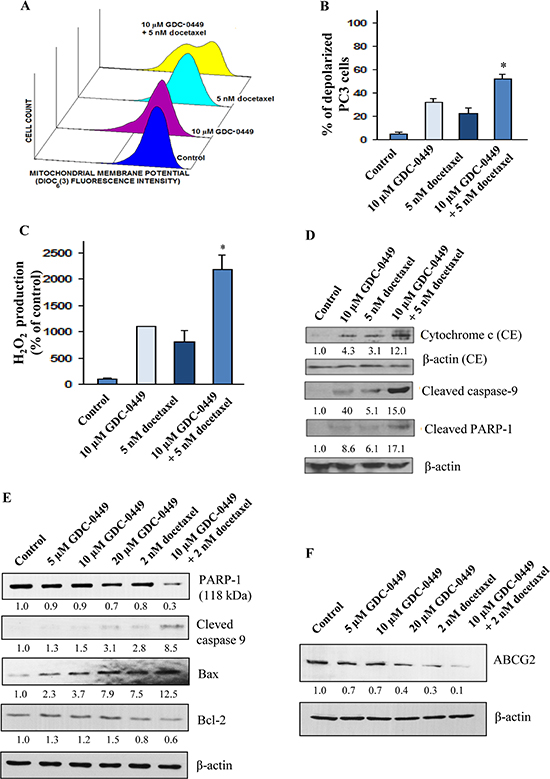 Stimulatory effect induced by GDC-0449 and docetaxel on mitochondrial membrane potential depolarization, production of reactive oxygen species and activation of caspase pathway in PC cells.