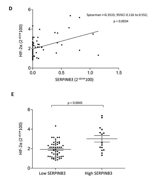 fig7b