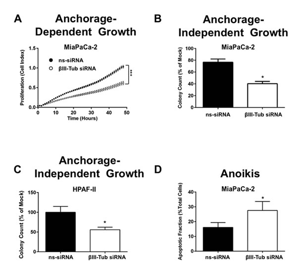 FIGURE 6: &#x3b2;III-tubulin silencing reduces both anchorage dependent and independent pancreatic cancer cell growth.