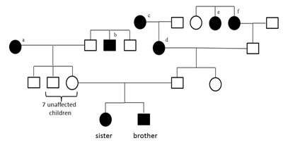 Family pedigree.