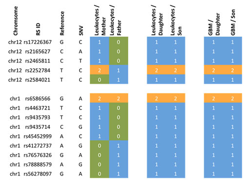 Accumulation of variants from father and mother in the siblings.