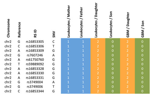Accumulation of variants for the XIRP2 gene of the daughter.