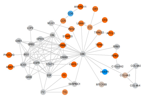 Key GBM network.