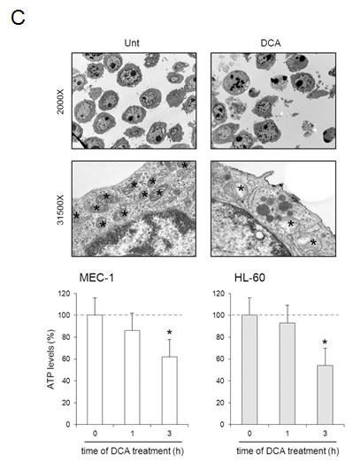 fig2c