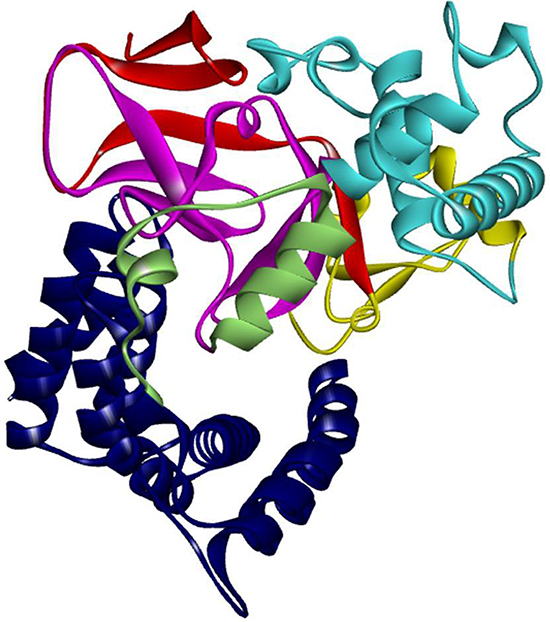 Structure of SMYD3.