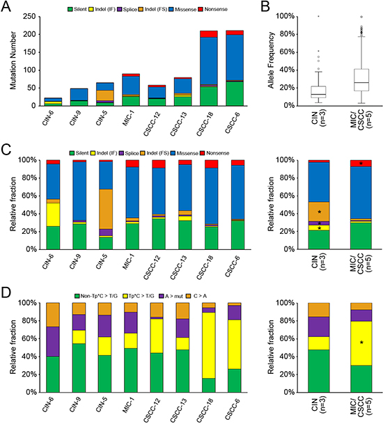 The mutational features of eight cervical neoplasia genomes.