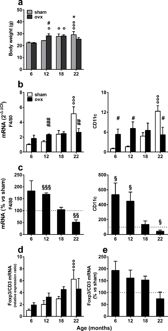 Expression of immune response markers in the vWAT of sham-operated and ovx aging mice.