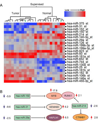 Figure 5: