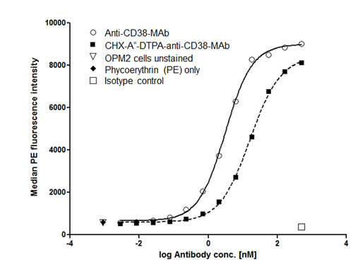 Binding affinity of native and chelated anti-CD38-MAb.