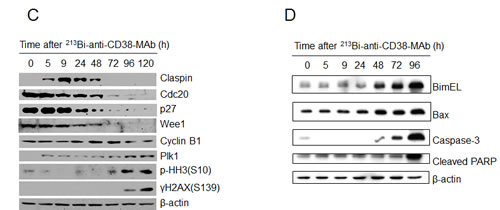 fig5b