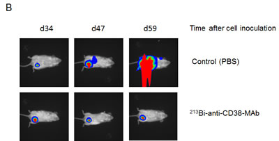 fig6b