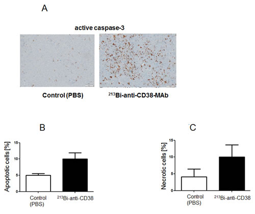 Figure 7: