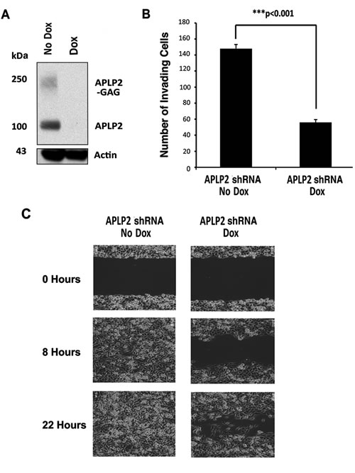 Figure 3: