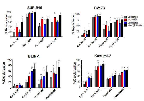 BH3 profiling assay shows increased mitochondrial priming in B-ALL cells treated with MLN0128/vorinostat.