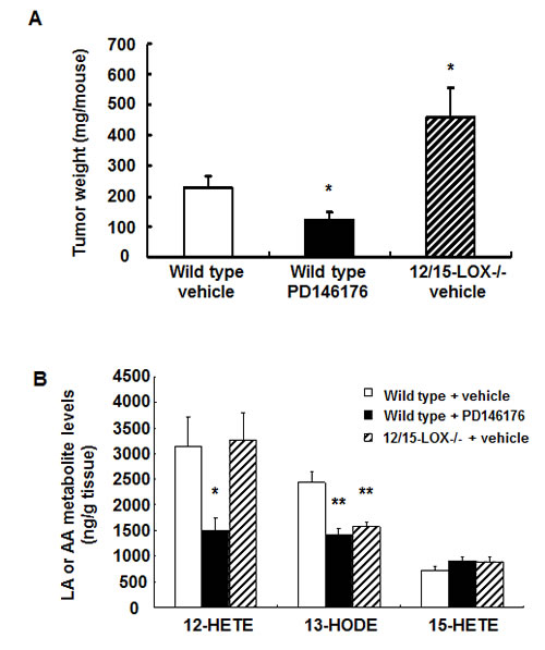 Effects of pharmacologic and genetic inhibition of LOX activity on mouse colonic MC38 tumor growth and tumor eicosanoid production.