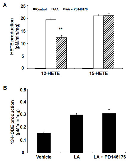 12-HETE production in MC38 cells was inhibited by PD146176.