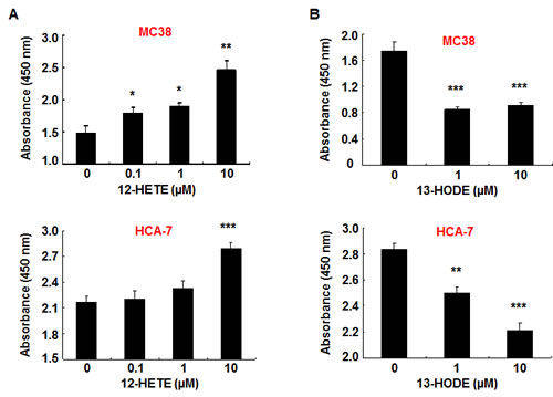 12-HETE stimulated and 13-HODE inhibited murine and human colonic cancer cell proliferation.