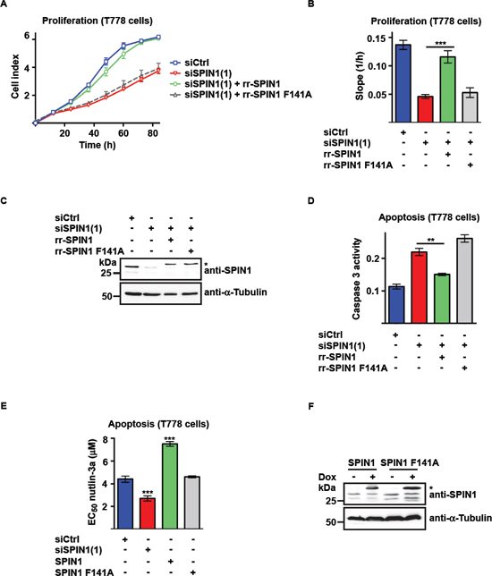 Binding of SPIN1 to H3K4me3 is required for proliferation and survival of liposarcoma cells.