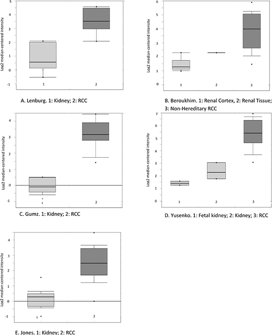 Boxplot of HLA-DQB1 mRNA levels in RCC and adjacent normal tissue as reported in five datasets available in the Oncomine database.