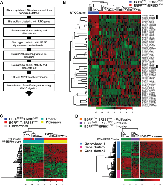 Melanoma subtypes identification by class discovery in the CCLE dataset.