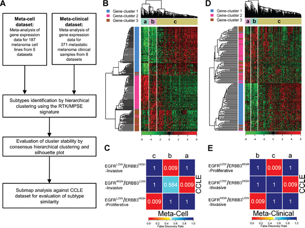 Subtypes validation in independent datasets.