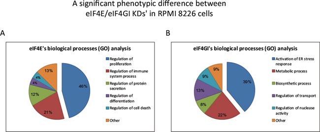 Functional Gene Ontology (GO) analysis showed a significant phenotypic difference between eIF4E and eIF4GI KDs&#x2019; in RPMI 8226 cells.