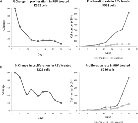 Long term inhibition of eIF4E with RBV attenuated cell proliferation.